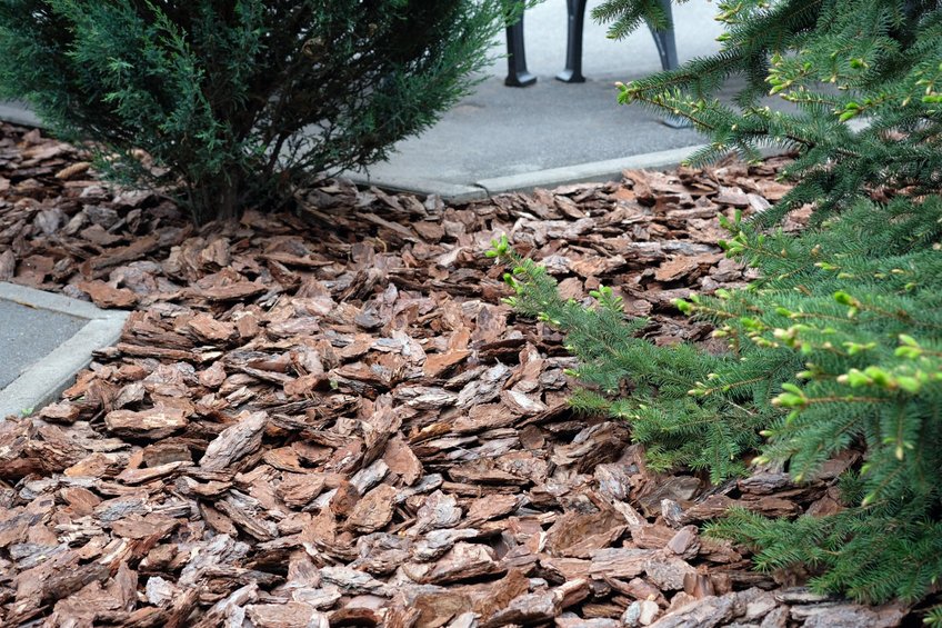 free wood chips near me